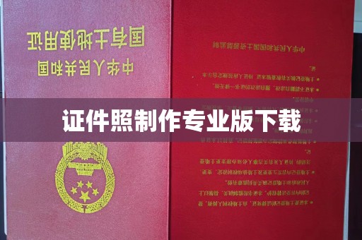 碑林证件照制作专业版下载